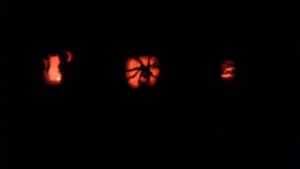 pumpkins 2